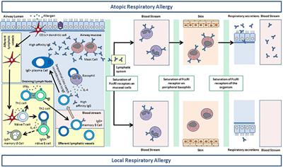 Local Respiratory Allergy: From Rhinitis Phenotype to Disease Spectrum